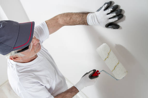 Best Drywall Sanding and Smoothing  in Brewster Heights, NY